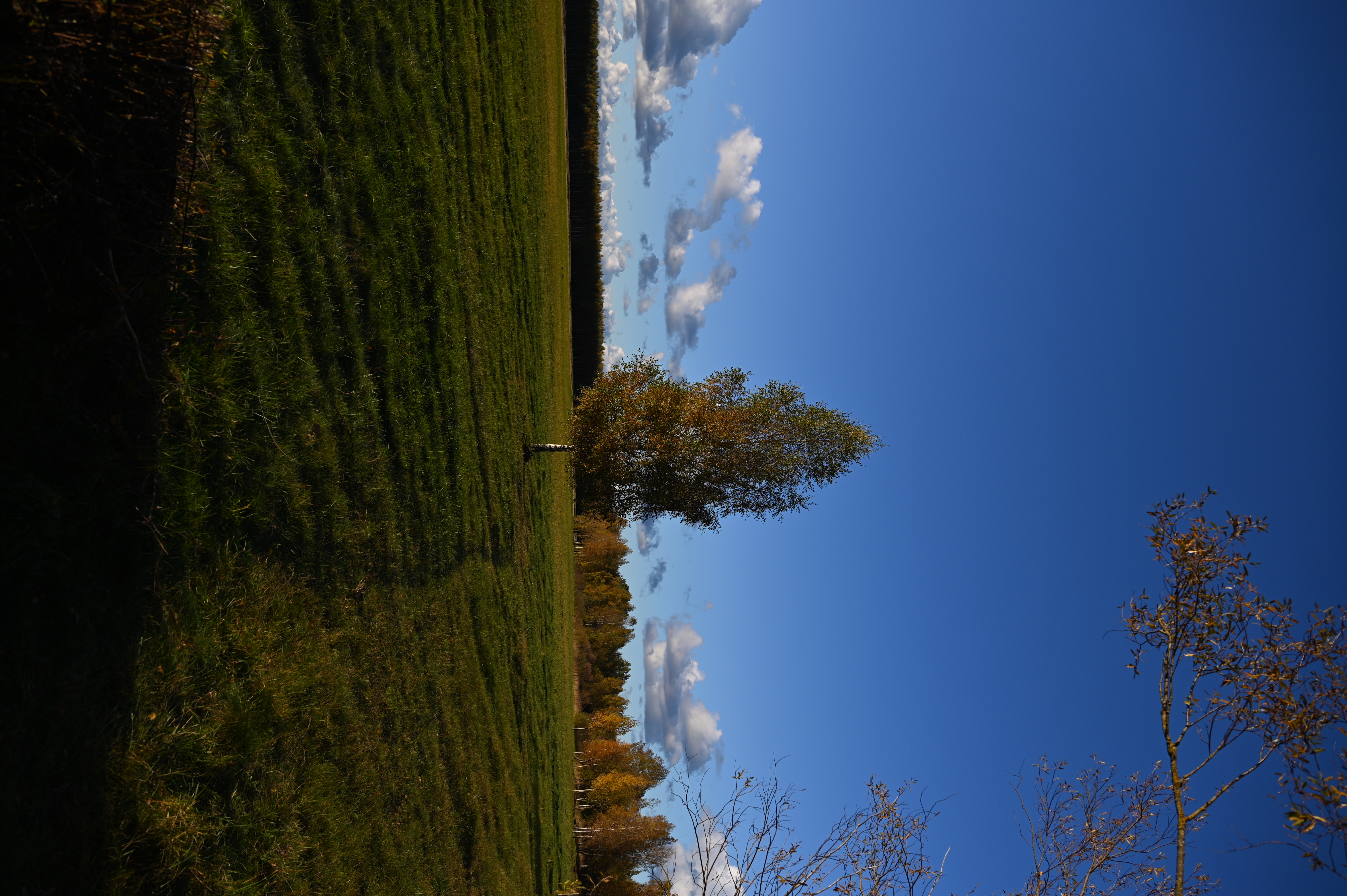 2025/10/18 - walk/DSC_0150.JPG